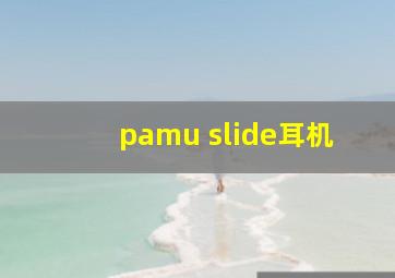 pamu slide耳机